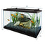 Your one-stop shop for diverse, top-quality aquarium supplies and accessories