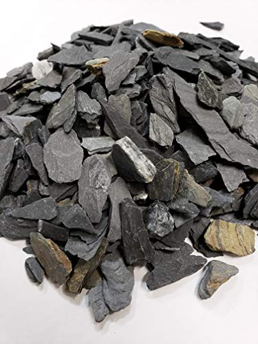 Your one-stop shop for diverse, top-quality aquarium supplies and accessories