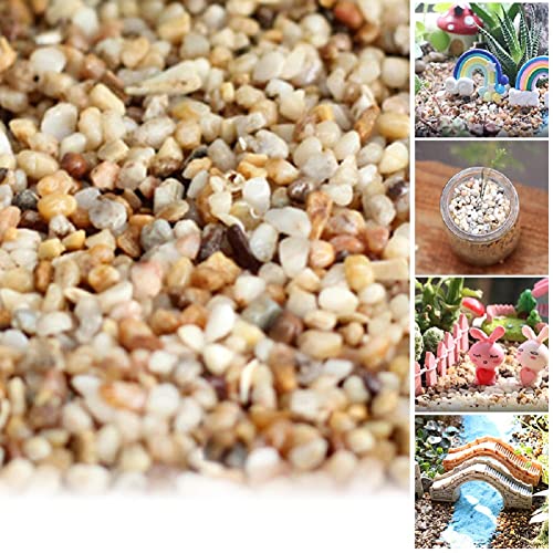 Your one-stop shop for diverse, top-quality aquarium supplies and accessories