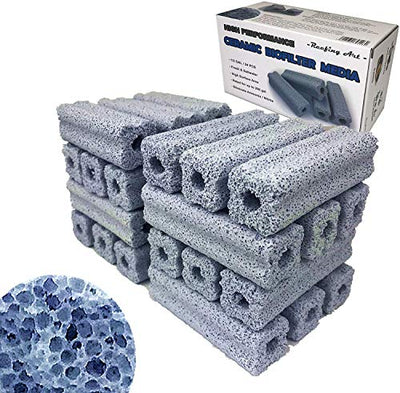 Your one-stop shop for diverse, top-quality aquarium supplies and accessories