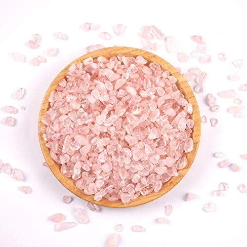 Your one-stop shop for diverse, top-quality aquarium supplies and accessories