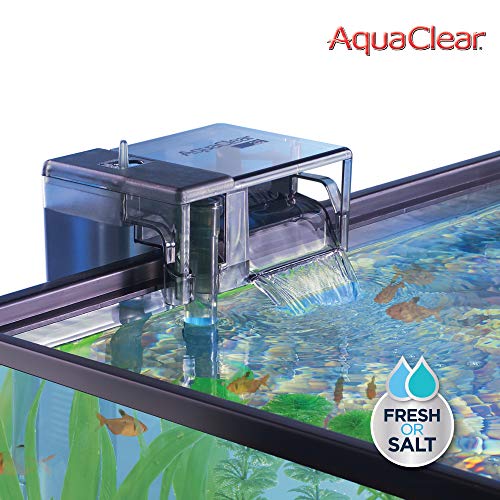 Your one-stop shop for diverse, top-quality aquarium supplies and accessories