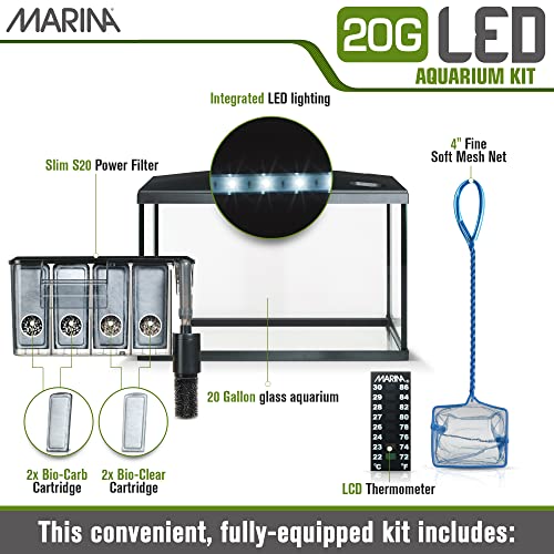 Your one-stop shop for diverse, top-quality aquarium supplies and accessories