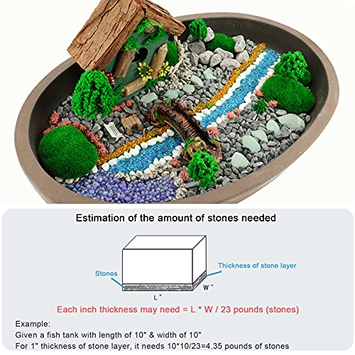 Your one-stop shop for diverse, top-quality aquarium supplies and accessories
