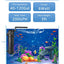 Your one-stop shop for diverse, top-quality aquarium supplies and accessories