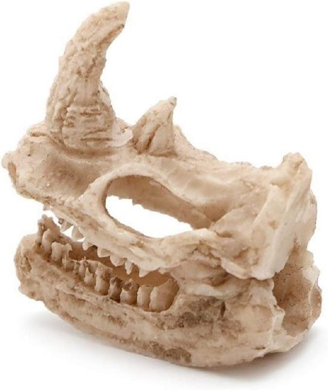 Your one-stop shop for diverse, top-quality aquarium supplies and accessories