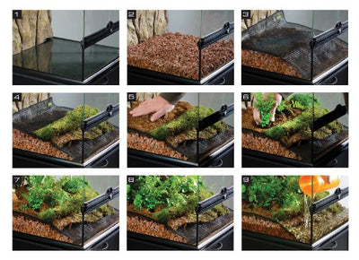 Your one-stop shop for diverse, top-quality aquarium supplies and accessories