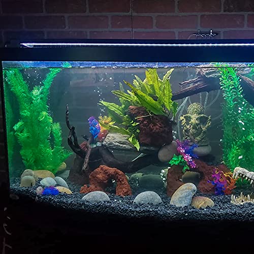 Your one-stop shop for diverse, top-quality aquarium supplies and accessories