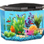Your one-stop shop for diverse, top-quality aquarium supplies and accessories