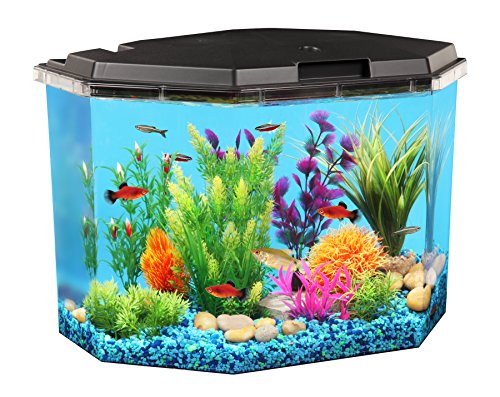 Your one-stop shop for diverse, top-quality aquarium supplies and accessories