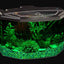 Your one-stop shop for diverse, top-quality aquarium supplies and accessories