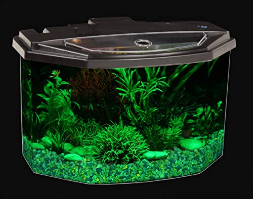 Your one-stop shop for diverse, top-quality aquarium supplies and accessories