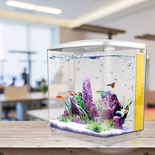 Your one-stop shop for diverse, top-quality aquarium supplies and accessories