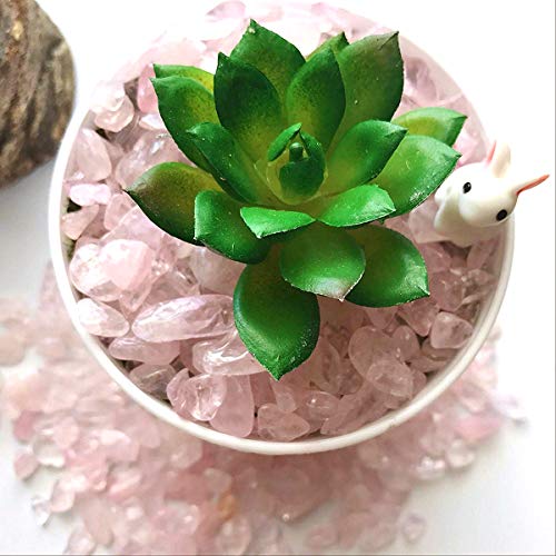 Your one-stop shop for diverse, top-quality aquarium supplies and accessories