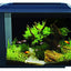 Your one-stop shop for diverse, top-quality aquarium supplies and accessories