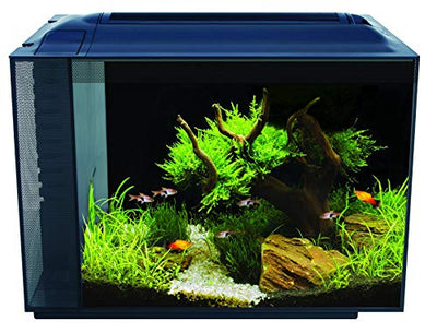 Your one-stop shop for diverse, top-quality aquarium supplies and accessories
