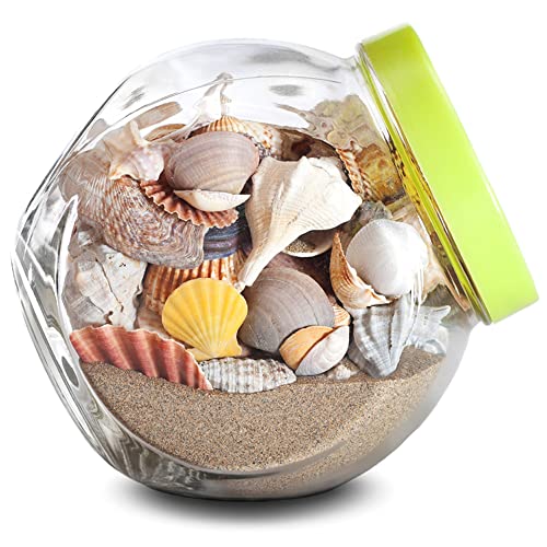Your one-stop shop for diverse, top-quality aquarium supplies and accessories