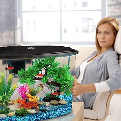 Your one-stop shop for diverse, top-quality aquarium supplies and accessories