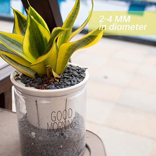 Your one-stop shop for diverse, top-quality aquarium supplies and accessories