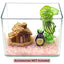 Your one-stop shop for diverse, top-quality aquarium supplies and accessories