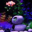 Your one-stop shop for diverse, top-quality aquarium supplies and accessories