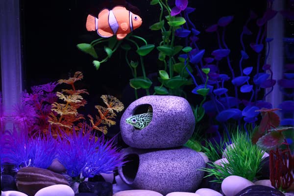 Your one-stop shop for diverse, top-quality aquarium supplies and accessories