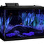 Your one-stop shop for diverse, top-quality aquarium supplies and accessories