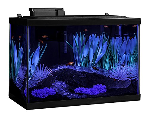 Tetra ColorFusion Aquarium 20 Gallon Fish Tank Kit, Includes LED Light – Supply AG Tetra ColorFusion Aquarium 20 Gallon Fish Tank Kit, Includes LED Light – Supply AG