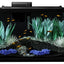 Your one-stop shop for diverse, top-quality aquarium supplies and accessories