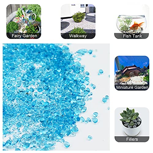 Your one-stop shop for diverse, top-quality aquarium supplies and accessories