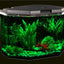 Your one-stop shop for diverse, top-quality aquarium supplies and accessories