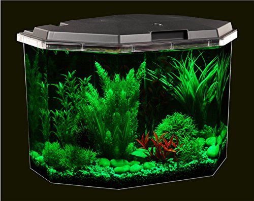 Your one-stop shop for diverse, top-quality aquarium supplies and accessories