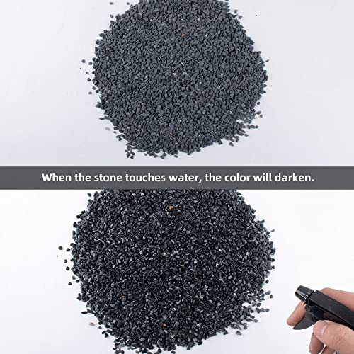 Your one-stop shop for diverse, top-quality aquarium supplies and accessories