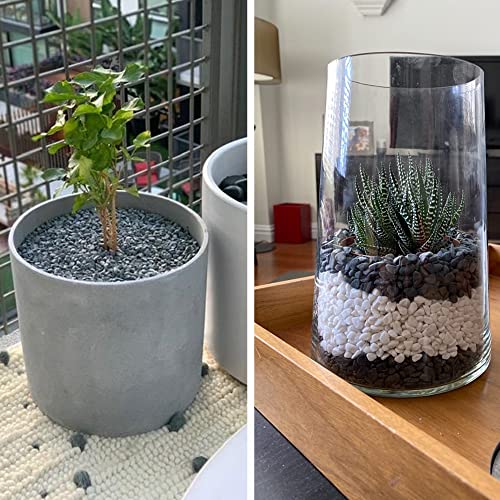 Your one-stop shop for diverse, top-quality aquarium supplies and accessories