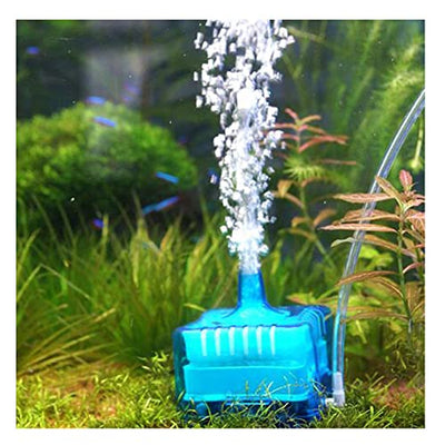 Your one-stop shop for diverse, top-quality aquarium supplies and accessories