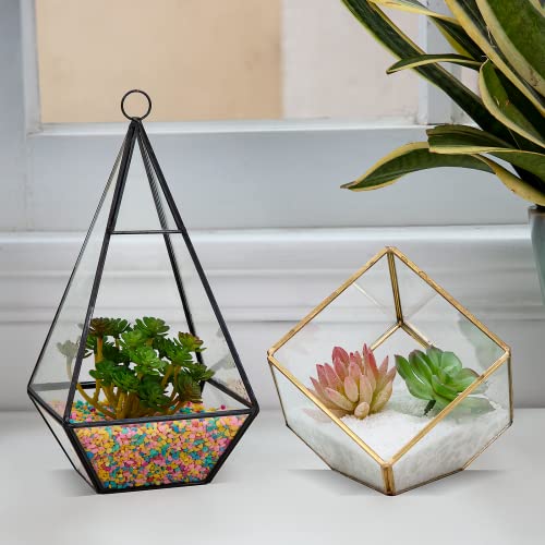 Your one-stop shop for diverse, top-quality aquarium supplies and accessories