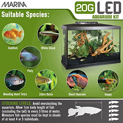 Your one-stop shop for diverse, top-quality aquarium supplies and accessories