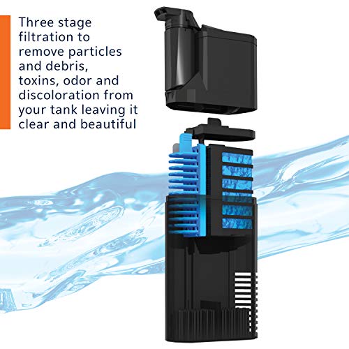 Your one-stop shop for diverse, top-quality aquarium supplies and accessories