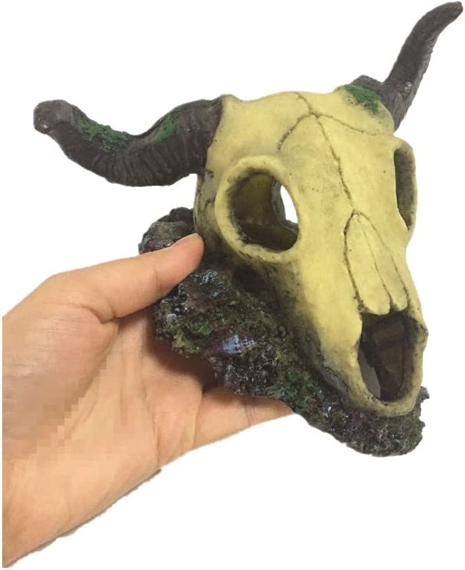 Your one-stop shop for diverse, top-quality aquarium supplies and accessories