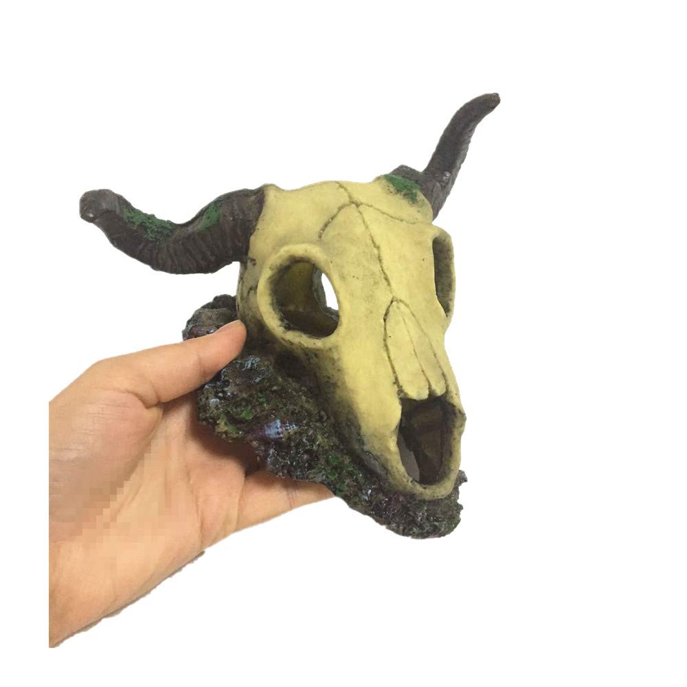 Your one-stop shop for diverse, top-quality aquarium supplies and accessories