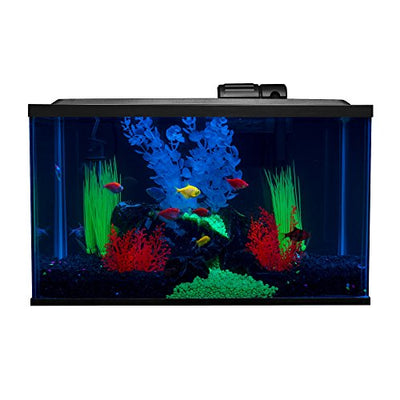 Your one-stop shop for diverse, top-quality aquarium supplies and accessories