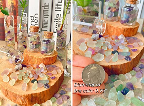 Your one-stop shop for diverse, top-quality aquarium supplies and accessories