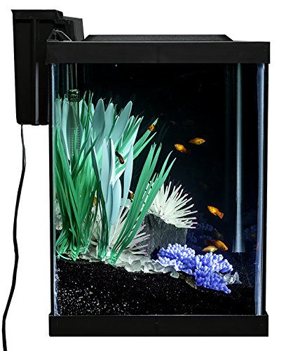 Your one-stop shop for diverse, top-quality aquarium supplies and accessories