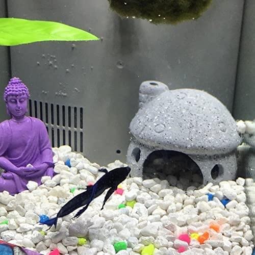 Your one-stop shop for diverse, top-quality aquarium supplies and accessories