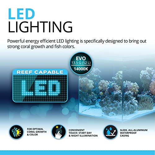 Your one-stop shop for diverse, top-quality aquarium supplies and accessories