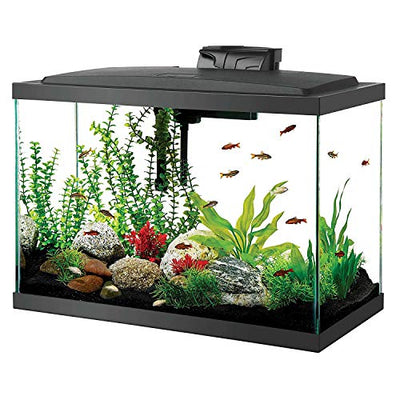 Your one-stop shop for diverse, top-quality aquarium supplies and accessories
