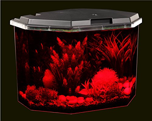 Your one-stop shop for diverse, top-quality aquarium supplies and accessories