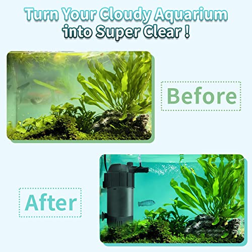 Your one-stop shop for diverse, top-quality aquarium supplies and accessories