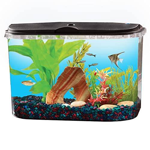 Your one-stop shop for diverse, top-quality aquarium supplies and accessories