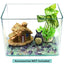 Your one-stop shop for diverse, top-quality aquarium supplies and accessories
